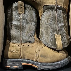 Mens ariat boots